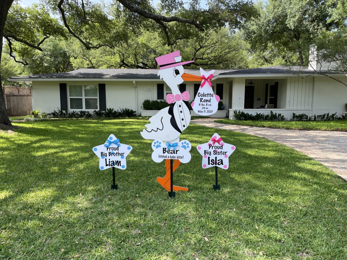 Pink Stork Sign With Sibling Stars and Dog Bone Sign, Birth Announcement Yard Stork Sign in The Woodlands, Spring, Kingwood, TX