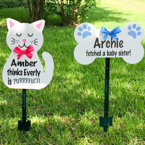 Let's Flamingle , Birthday and Birth Announcement Yard Stork Sign in The Woodlands, Spring, Kingwood, TX