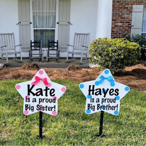 Sibling Stars in Pink and Blue Decorations, Birth Announcement Yard Stork Sign in The Woodlands, Spring, Kingwood, TX